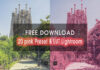 20 pink preset and LUT Lightroom