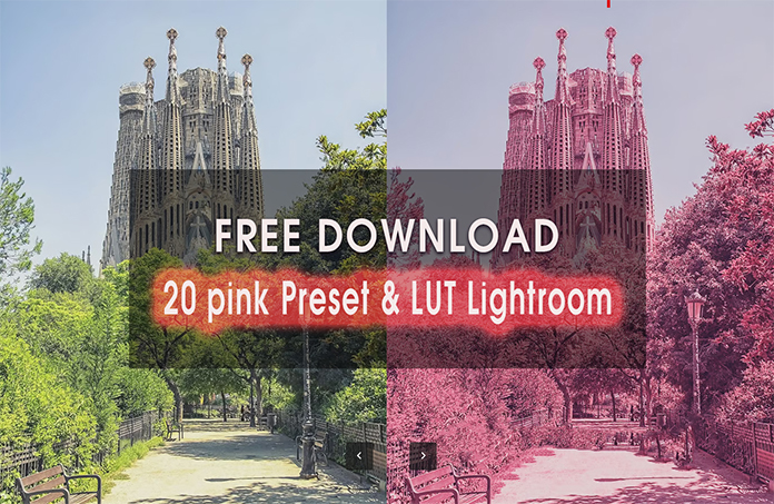 20 pink preset and lut lightroom